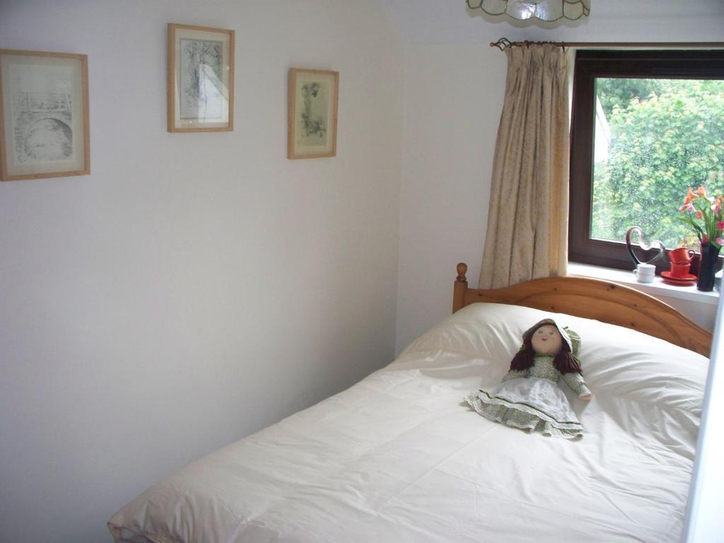 Stoke House Bed And Breakfast Stoke Rivers Phòng bức ảnh